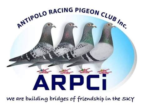 arpci pigeon club|ARPCi Tanay .